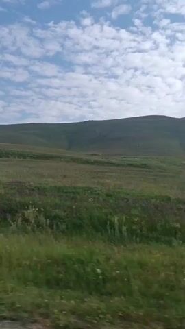 The video shows a wide shot of a hilly, green landscape under a cloudy blue sky. The foreground is filled with tall grass that appears to be blowing in the wind, with scattered white and purple wildflowers. In the midground, the terrain slopes upwards into a large, rolling hill covered in grass. A tall, thin structure, possibly a radio tower, is visible on the crest of the hill. The camera appears to be moving, indicated by the slight blur of the foreground grass and the shifting perspective. There are no people or animals visible in the frame. The overall impression is of a natural, open environment.
