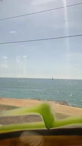 From inside a vehicle, the view is of the ocean on a clear, bright day. Several sailboats dot the water. A strip of beach or land is visible on the left. Wires run across the top of the window. A blurred green object appears in the lower foreground. A utility pole appears briefly as the vehicle moves.