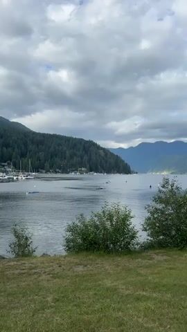 A wide shot captures a body of water with a wooded, mountainous landscape in the background. The sky is overcast with dramatic clouds. Several sailboats are moored on the left side of the frame near a shoreline with houses. A single person is rowing a long, narrow boat in the middle of the water, facing away from the camera. The foreground shows a grassy area with some bushes.