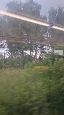 A blurry video captures a view from a moving train. Outside the window, trees and tall grass are visible. The train passes by a small white building with red trim, followed by a small house with a brown roof. Further along, a road with several cars, including what appear to be police vehicles, is seen. A street light with a solar panel is also visible. The sky is overcast.