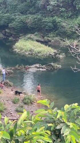 Tourist captures Pokhara waterfall scenery and street dog