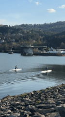 Two kayakers paddle across calm lake in Pancharevo, Bulgaria