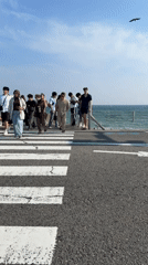 Sunny morning scenes captured across coastal Kamakura, Japan