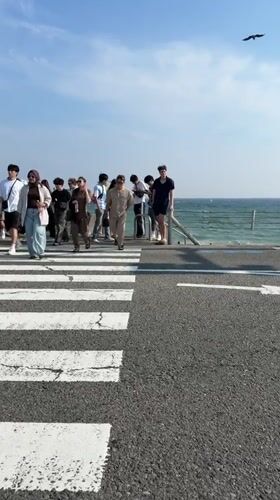 Sunny morning scenes captured across coastal Kamakura, Japan