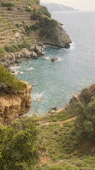 Coastal scenes and golden retriever captured in afternoon observations