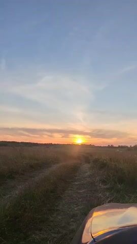 The video shows a first-person view from inside a vehicle driving through a field at sunset. The sun is low on the horizon, casting a warm glow across the sky and illuminating the tall grass on either side of the dirt road. The sky is a gradient of blue, orange, and pink. The vehicle appears to be a truck or SUV, with the hood visible in the lower right corner of the frame. The road is a well-worn path, suggesting frequent use. The overall impression is one of peaceful solitude and natural beauty.