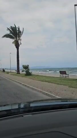 A short video shows a view from inside a vehicle, looking forward. The vehicle appears to be driving along a coastal road. On the left side of the road, there are buildings, a sidewalk, and a street. On the right side of the road, there is a sandy area, grass, and the sea with visible waves. A palm tree stands near the road on the right. The sky is cloudy. Several cars are visible on the road. The video captures the passing scenery as the vehicle moves.