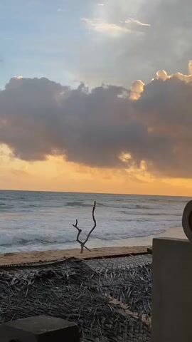 This media file captures a serene beach scene in Hikkaduwa, Sri Lanka, during what appears to be sunrise or sunset. The primary subjects are the ocean, a beach, and the sky. In the foreground, there is a thatched roof structure, possibly part of a beach hut or resort, with a concrete element visible on the left. The middle ground features a sandy beach with a solitary, bare tree branch standing upright. The ocean is active with waves crashing onto the shore, creating white foam.

The sky is a prominent feature, displaying a dramatic interplay of clouds and light. The lower portion of the sky is bathed in a warm, golden-orange hue, characteristic of either sunrise or sunset. Above this, darker gray clouds are interspersed with patches of bright, illuminated cloud edges, suggesting the sun is either rising or setting behind them. The overall weather appears partly cloudy but pleasant.

The scene evokes a sense of tranquility and natural beauty. The absence of people suggests a quiet, peaceful moment. The time of day is clearly indicated by the quality of light and the colors in the sky. The presence of palm fronds in the thatched roof and the general ambiance point towards a tropical coastal location, consistent with Hikkaduwa, Sri Lanka. There is no visible text in the media file.