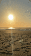 Sunrise walk on Mylestom beach, footprints and golden light