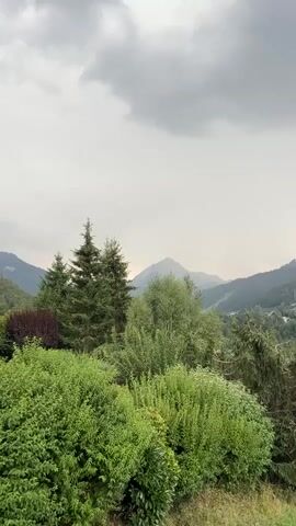 A wide shot captures a panoramic view of a lush green landscape under a cloudy sky. The foreground is dominated by dense, manicured bushes and shrubs, with a few taller evergreen trees interspersed. Behind them, a variety of deciduous trees with vibrant green foliage form a dense middle ground. In the distance, rolling hills and mountains fade into a hazy horizon, suggesting a wide valley or mountainous region. The sky is overcast with dramatic, dark gray clouds, hinting at impending rain or a storm. No people or animals are visible in the frame, and there are no discernible man-made structures or objects apart from what appears to be a subtle hint of a structure in the far distance, possibly a building nestled in the valley. The overall impression is one of natural beauty and a slightly brooding atmosphere due to the weather.