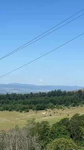 A panoramic view of a rural landscape under a clear blue sky. In the foreground, the tops of trees are visible. Beyond that, a green field stretches out, dotted with a few scattered cows. A dirt road winds through the field. Further in the distance, a dense forest forms a dark green band, behind which lies a valley. In the far distance, a town or city can be seen nestled among rolling hills. Power lines are strung across the upper part of the frame. The camera pans slowly to the right, revealing more of the landscape.