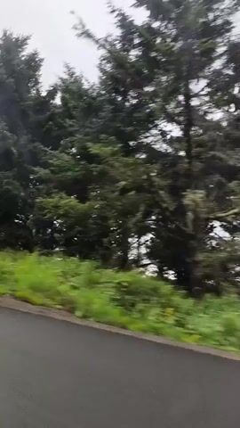 The video shows a side view of a road bordered by trees and greenery. The sky is overcast and appears cloudy. The road is asphalt with a white line marking the edge. In the distance, there is a body of water. The overall scene suggests a natural, possibly rural or coastal environment.