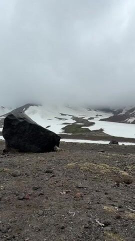 The video begins with a close-up of a large, dark rock in the foreground. Beyond the rock, a vast, snow-covered landscape stretches out under a cloudy sky. The snow is patchy, revealing patches of green vegetation and brown earth. As the video progresses, a small, furry animal with light-colored fur and a darker face emerges from behind the rock. The animal is sitting on the ground, facing the camera. It appears to be a ground squirrel or a similar rodent. The background remains the same throughout the clip, showing the stark, natural environment with the snow-covered hills and cloudy sky. The animal is the only movement in the scene.