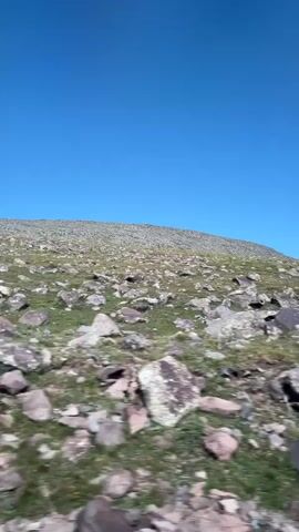 The video shows a rocky, grassy hillside under a clear blue sky. Large, irregular stones are scattered across the landscape, with patches of green grass growing between them. The camera appears to be moving, possibly from a vehicle, as the scene has a slight motion blur. The overall impression is of a wild, natural environment, possibly a mountain slope or tundra.