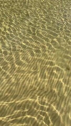 The video shows a close-up view of shallow, clear water with a sandy bottom. Sunlight creates rippling patterns of light and shadow on the seabed. In the distance, a shoreline with trees is visible. The water appears calm and undisturbed.