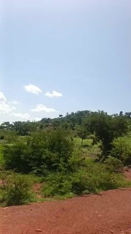 The video shows a panoramic view of a hilly, natural landscape under a clear sky with scattered clouds. The terrain is covered in lush green vegetation, including trees and shrubs, with patches of dry grass and rocky outcrops visible. In the foreground, there is a reddish-brown dirt path. There are no people or animals visible in the video. The camera appears to be moving slowly, panning across the scenery. The time stamps indicate the video is very short, approximately 4 seconds long.