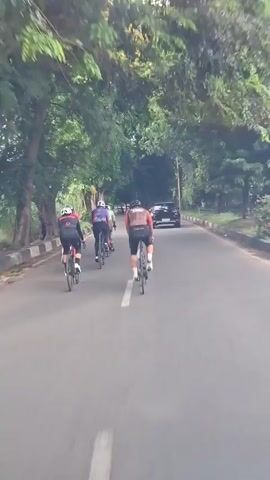 The video shows a group of cyclists riding on a paved road. They are traveling in the same direction, with several cars visible in the distance. The road is lined with trees, creating a canopy over the path.