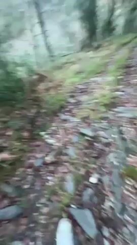 The video depicts a first-person perspective of a walk through a forest. The ground is covered with leaves and small rocks. Trees are visible on either side of the path. The sky is overcast and the light is dim. The camera moves forward, showing the path ahead.