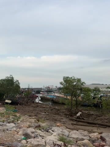 The camera pans to the right, revealing a mudflat and a harbor with many fishing boats. The foreground contains rocks and some small trees. The tide appears to be low, as mud is exposed around the boats. The boats are diverse in size and color, but many appear old and possibly in disrepair. In the background, there is a stretch of land and an overcast sky.