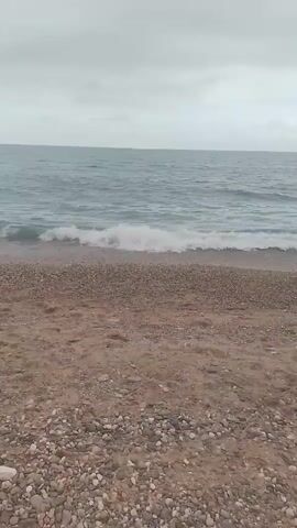 The video shows a view of the sea from a beach. The sky is overcast, and the sea is a medium blue-gray color with small waves. The beach is covered in pebbles and sand. There are no people or objects visible in the video.