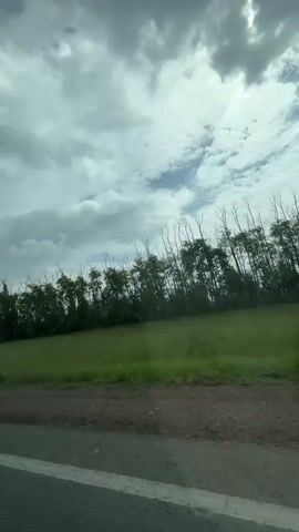 The video shows a view from a moving vehicle, looking out at a landscape under a cloudy sky. On the right side of the frame, a row of trees with thin branches stands against the sky. Below the trees is a green field. In the foreground, the edge of a road is visible, with a white line marking the lane. The clouds in the sky are a mix of white and gray, suggesting an overcast or stormy day. There are no people or distinct objects visible in the field or trees. The camera appears to be panning slightly as the vehicle moves.