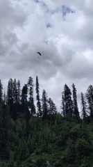 Paragliders, horses, and ATVs on a cloudy Solang Valley morning