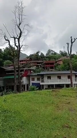 A wide shot video shows a hillside with buildings and trees. The sky is cloudy. In the foreground, there is a grassy slope. Behind the grass, there are two tall, bare trees. Further back are several multi-story buildings with red roofs and white balconies, situated on the slope. Green trees and foliage surround the buildings. The camera pans slightly to the left, revealing more of the hillside with its structures and dense vegetation. The overall impression is of a rural or semi-rural setting, possibly a village or resort, nestled within a natural landscape. There are no people or animals visible in the video.