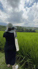 Person walks rice paddies in Penebel, Indonesia