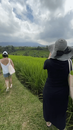 Person walks rice paddies in Penebel, Indonesia