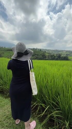 Person walks rice paddies in Penebel, Indonesia