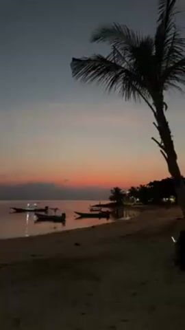 The video shows a sunset on a beach. The sky is a gradient of colors, from dark blue at the top to orange and pink near the horizon. Palm trees silhouette against the sky. Several small boats are floating in the water near the beach. The sand is dark and wet. There are people visible on the beach, but they appear as silhouettes. The video appears to be filmed from a stationary position.