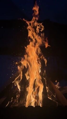 Casual beer gathering with bonfire and cat in Chaikovsky