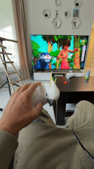 Exotic birds interact with owners in Russian home