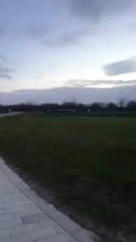 The video starts with a view across a grassy field toward a distant tree line, under a cloudy, pre-dawn sky. The camera pans to the right, revealing two large, silver horse head sculptures standing prominently in the field. The sculptures appear to be illuminated from within, giving them a soft glow against the muted light of the sky. The camera comes to a stop, centering on the horse heads.