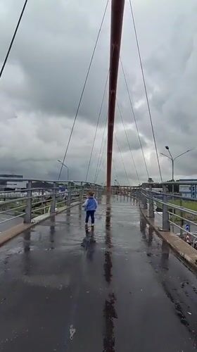 Rainy morning on a Saint Petersburg pedestrian bridge