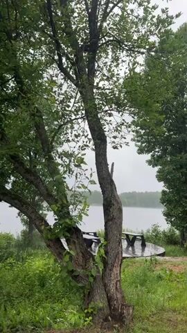 This media file appears to be a collection of short video clips recorded in Desnogorsk, Russia. The primary subject is a young woman, who is seen in several different scenes. The overall setting is natural and somewhat overcast, suggesting a time of day when sunlight is not strong, possibly morning or late afternoon, under cloudy skies.

In the first clip, the camera focuses on a large tree with lush green leaves, positioned near a body of water that could be a lake or a large river. There are some wooden benches on a wooden deck in the background, suggesting a park or recreational area. The scene is dominated by green foliage and the soft, muted light.

The subsequent clips show a path made of large, flat stones, wet as if from recent rain. Tall trees with green leaves line the path, and there are grassy areas on either side. In one clip, the young woman is seen standing on this path, wearing a black jacket and pants. She appears to be holding something to her ear, possibly a phone, and she smiles at the camera. Her posture and expression suggest a relaxed or perhaps amused demeanor. The presence of lampposts along the path further indicates a developed park or urban green space.

The general atmosphere is tranquil and slightly damp, with the overcast weather contributing to a subdued but serene mood. The focus on natural elements like trees, water, and grass, combined with the paved path and benches, points to a park or a similar public outdoor space within or near Desnogorsk. No visible text is present in the media.