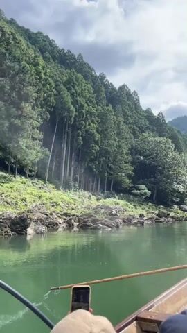 The video shows a first-person perspective from a boat on a green river. To the left, a steep, tree-covered mountainside rises, with a clear line of tall, slender trees along the bank. The water's surface is calm with gentle ripples, and rocks are visible along the river's edge. In the foreground, a hand holds a smartphone, and a wooden boat railing is visible. A wooden pole is also present, held by someone out of frame. A second person's hand points towards something on the mountainside, indicated by an overlaying timestamp of 00:03 and speech bubble "Are you looking over there?". The sky is cloudy with patches of blue. The overall scene is of a serene, natural environment.