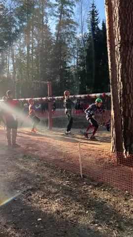 The video shows a group of people participating in an outdoor team-building exercise in a wooded area. They are all wearing harnesses and helmets, and appear to be maneuvering along an elevated obstacle course with assistance from ropes. Spectators can be seen in the background, near the end of the obstacle. The area is surrounded by a low orange fence. Sunlight is streaming through the trees, creating dappled light on the ground.