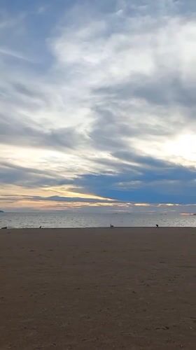 Three dogs spotted on Pattaya beach under cloudy skies