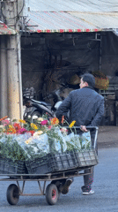 Evening street life scenes captured across Da Lat, Vietnam