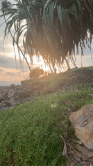 Sunset documented along Habaraduwa beach with palm trees, waves