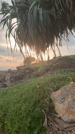 Sunset documented along Habaraduwa beach with palm trees, waves