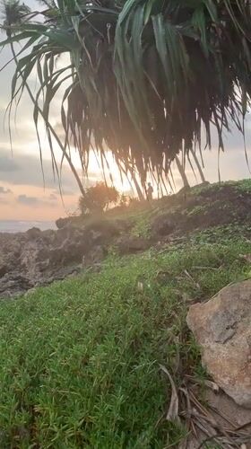 Sunset documented along Habaraduwa beach with palm trees, waves