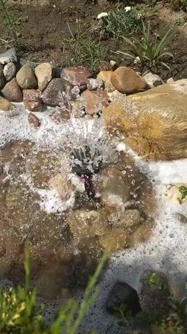 A small artificial waterfall flows over rocks and into a pool. The water is foamy and there are green plants around the edges. The scene appears to be in a garden or yard.