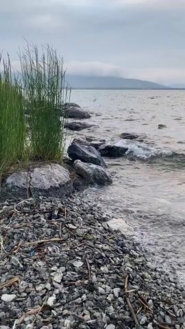 A video shows a close-up of a rocky shore with tall green grass on the left. Gentle waves lap at the shore, where there are several large rocks. In the background, a body of water stretches to the horizon, meeting a cloudy sky. The overall scene is natural and serene.