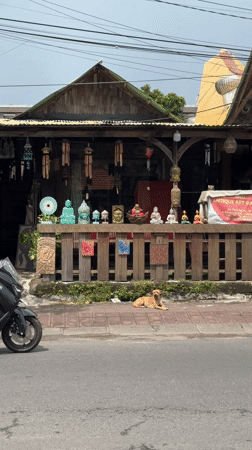 Ordinary street life documented in Kuta, Indonesia