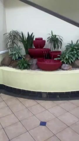 This video showcases a decorative indoor water fountain situated in an establishment in Lilongwe, Malawi. The fountain is composed of multiple tiers of bright red, bowl-shaped basins, from which water cascades downwards. The water first bubbles up from the smallest top bowl, then flows into a larger bowl below, and subsequently cascades from that into two separate lower bowls. Finally, the water collects in the largest, lowest bowl.

The fountain is set within a light yellow or cream-colored, curved, raised structure, which features a black tiled base. Surrounding the red bowls are various green leafy plants of different sizes and textures, along with natural rocks and light-colored gravel. The floor in front of the fountain is covered with light brown square tiles, interspersed with darker blue-gray tiles. The background consists of a plain light-colored wall. No people or visible text are present in the video. The activity depicted is the continuous flow of water through the fountain, creating a tranquil sound. The time of day and weather are not discernible, as it is an indoor setting.