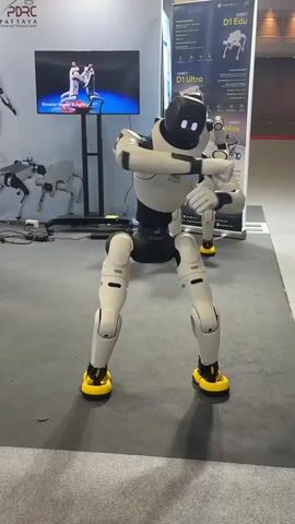 A humanoid robot with white and black plating and yellow feet is performing a dance or exercise routine. It has its arms extended to the sides and its legs are bent at the knees. The robot is in the foreground, with another identical robot in the background. To the left, a large screen displays an image of two people practicing martial arts. In the background, there is a banner with information about "ADROIT D1 EDU" and "D1 Ultra." The environment appears to be an indoor exhibition or trade show, with grey carpeting on the floor. There are also some cables and equipment visible in the background.