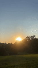 Sunset behind the treeline in Bryn Athyn, PA