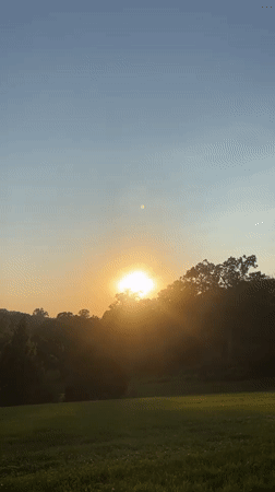 Sunset behind the treeline in Bryn Athyn, PA
